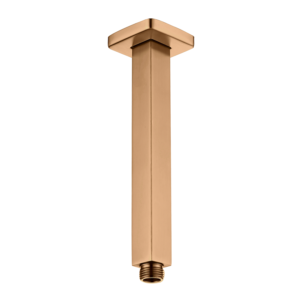 Haste De Teto LX21502