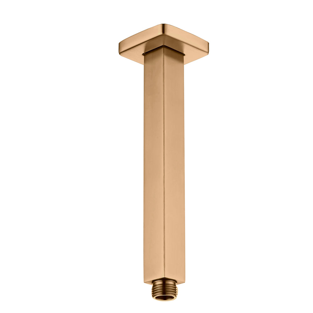 Haste De Teto LX21502